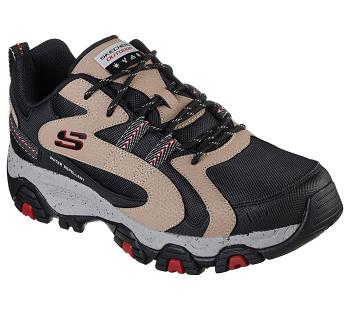 Black / Brown Skechers Terrabite -born | 38333_USA