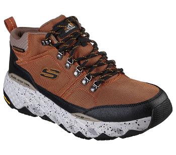 Brown / Black Skechers Glide-Step Trail - Woodward | 1819Q_USA