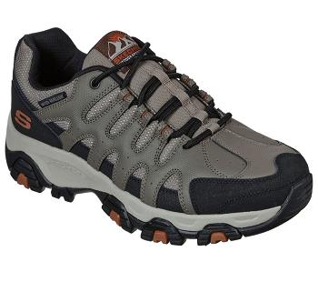 Brown / Black Skechers Terrabite - Dellga | 3708C_USA