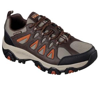 Brown / Orange Skechers Terrabite | 3858S_USA