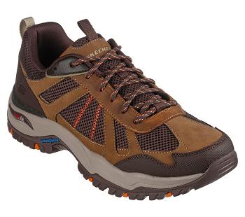 Brown Skechers Arch Fit Dawson - Vortego | 13570_USA