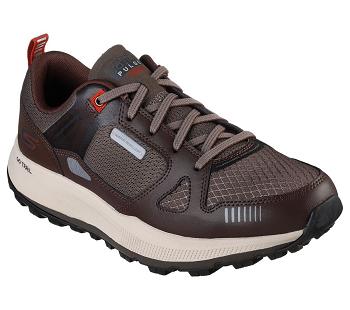 Brown Skechers GO RUN Pulse Trail - Ultra Radius | 4550A_USA
